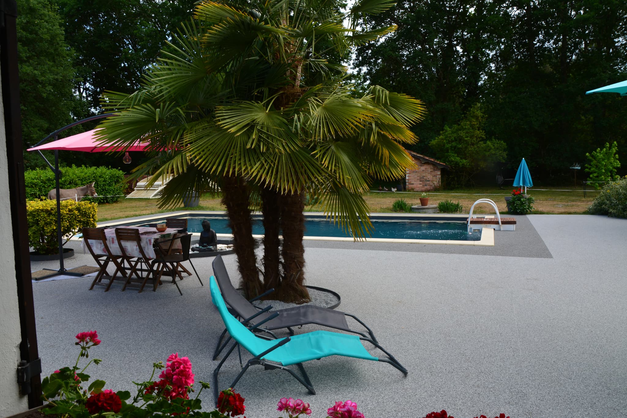 piscine