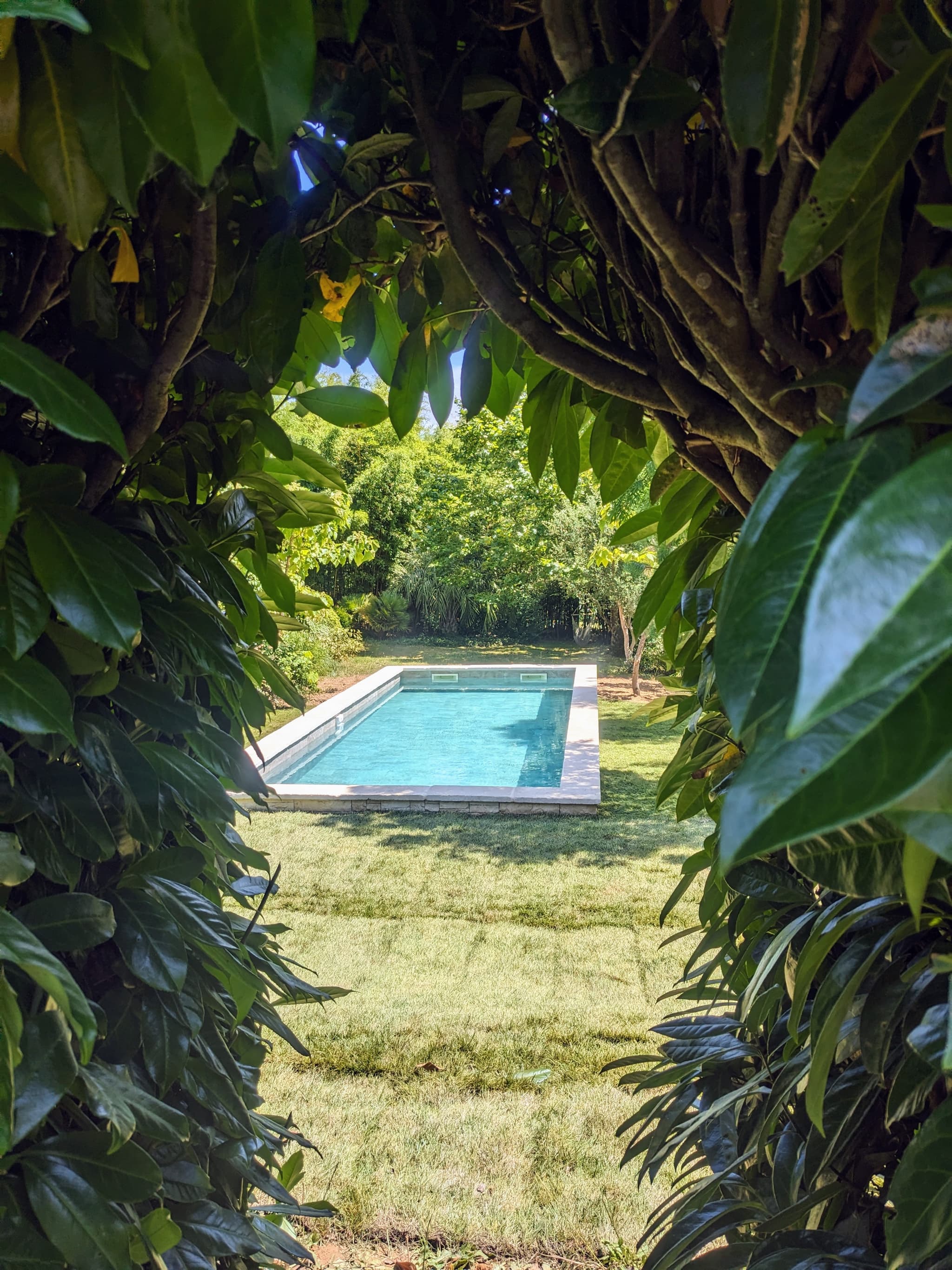 Piscine 3