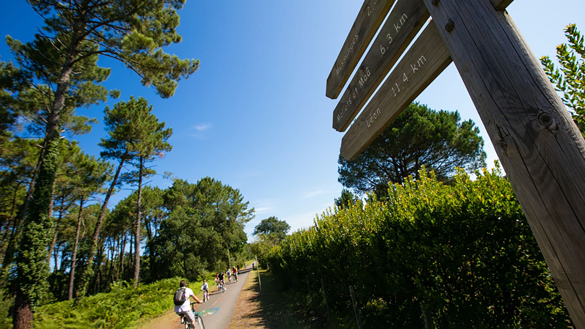 piste-cyclable (3)