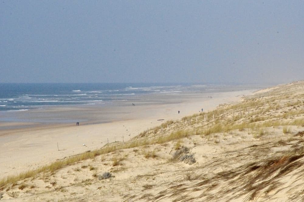camping le moussaillon_messanges_landes atlantique sud plage-de-messanges--2-