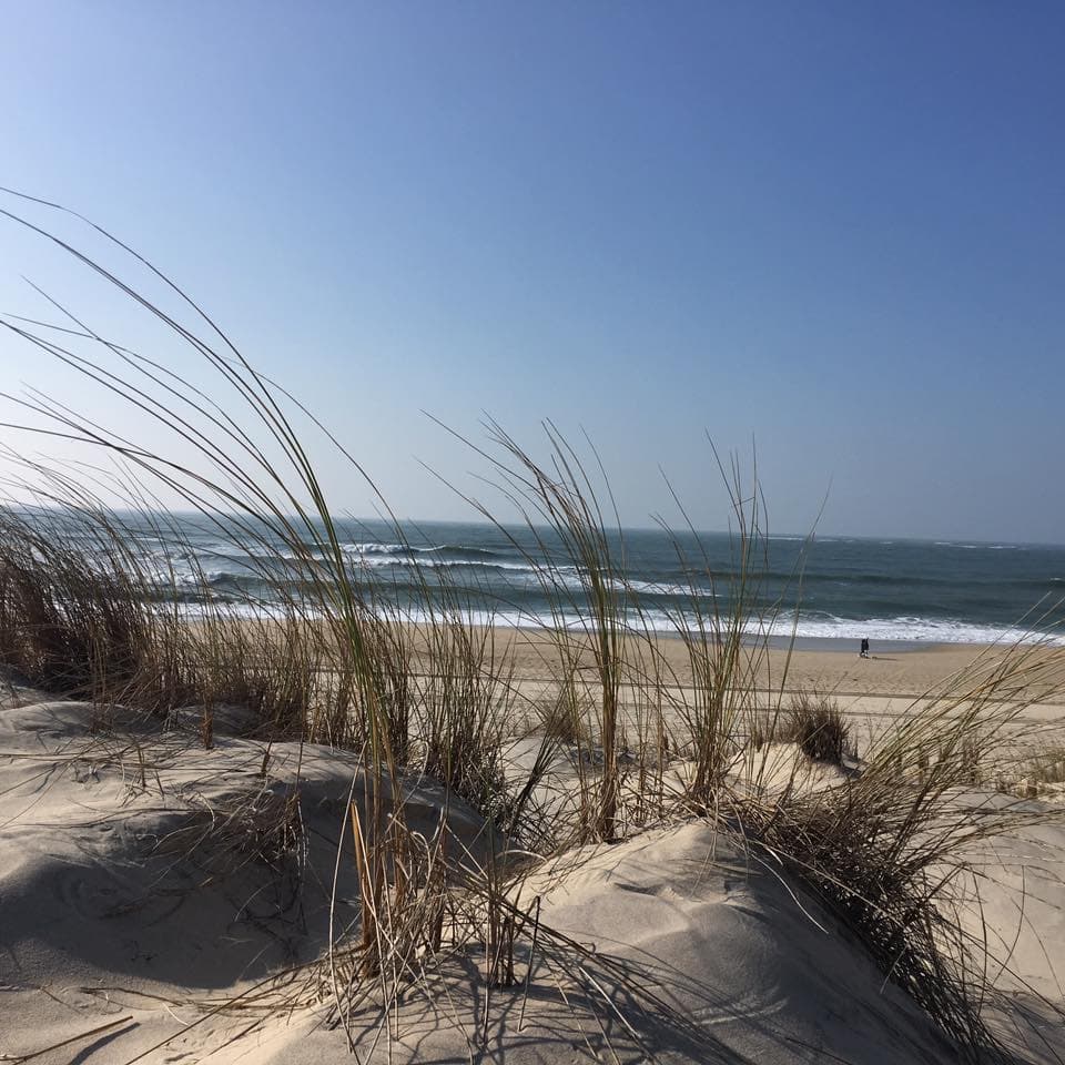 plage salie nord-février 2018