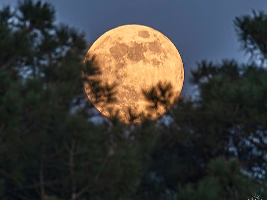 pleine-lune