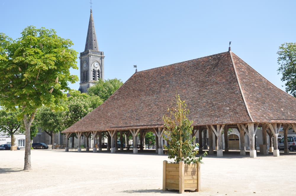 Halle de Pleumartin_1