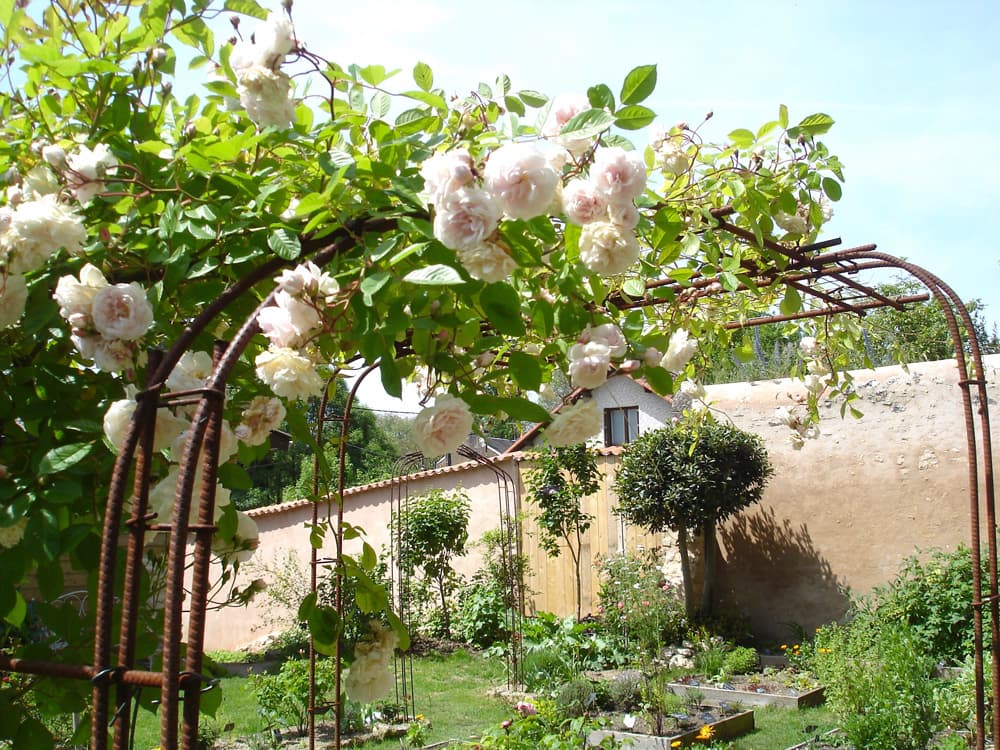 Clos des Moulins_5
