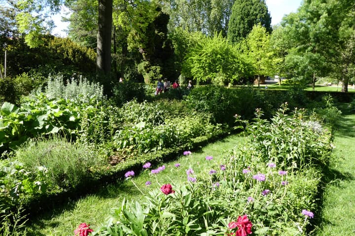 Jardin des Plantes_1