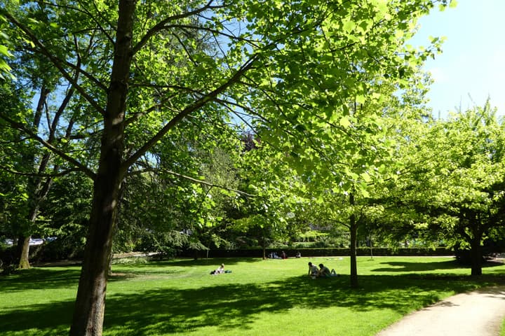 Jardin des Plantes_2