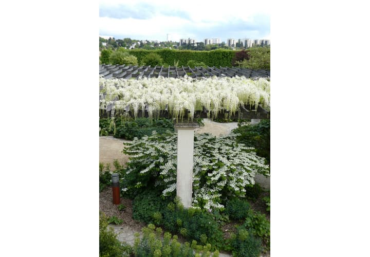 Parc de Blossac_5