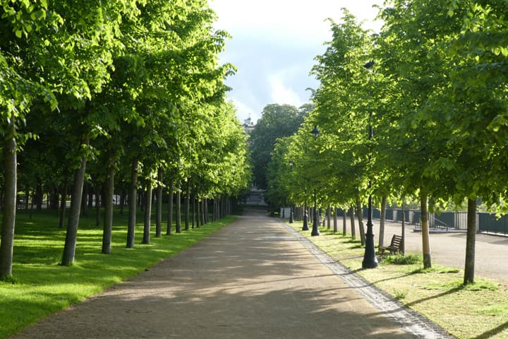 Parc de Blossac_6