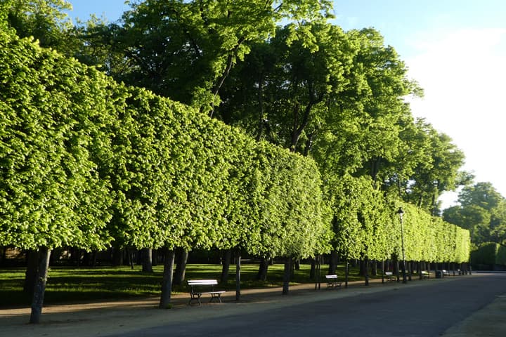 Parc de Blossac_7