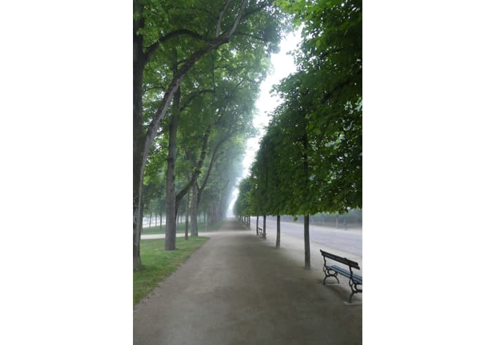 Parc de Blossac_8