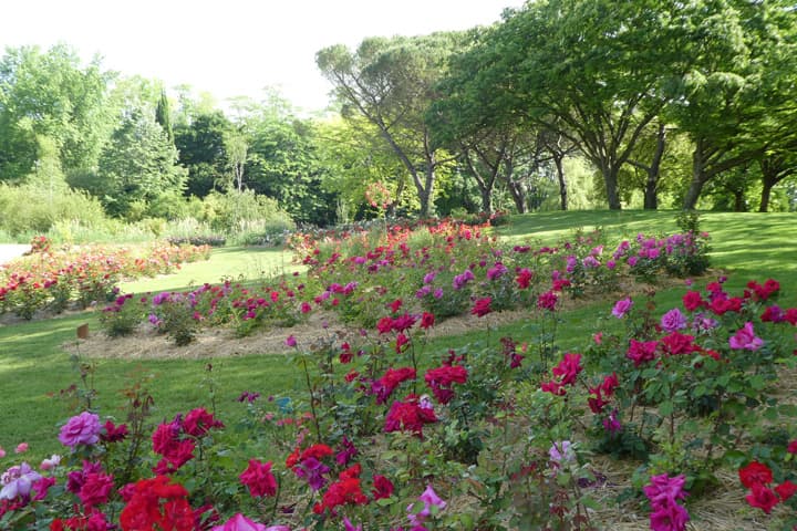Parc Floral - La Roseraie_1