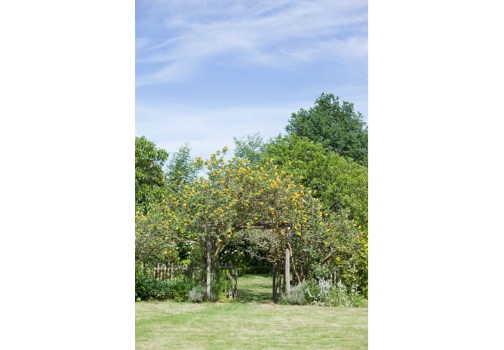 Parc Floral - La Roseraie_4