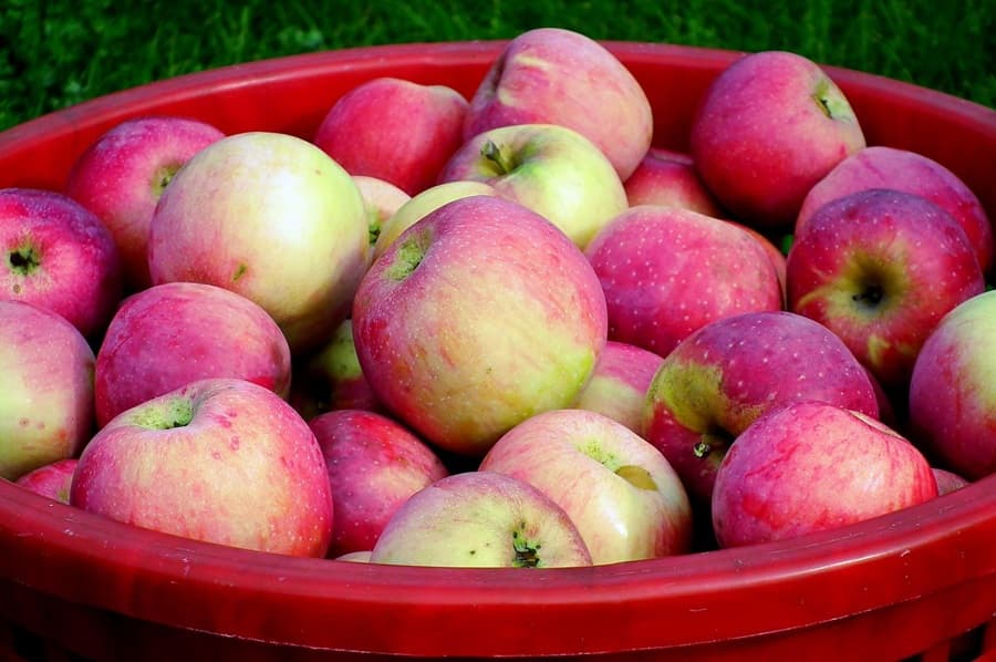pommes