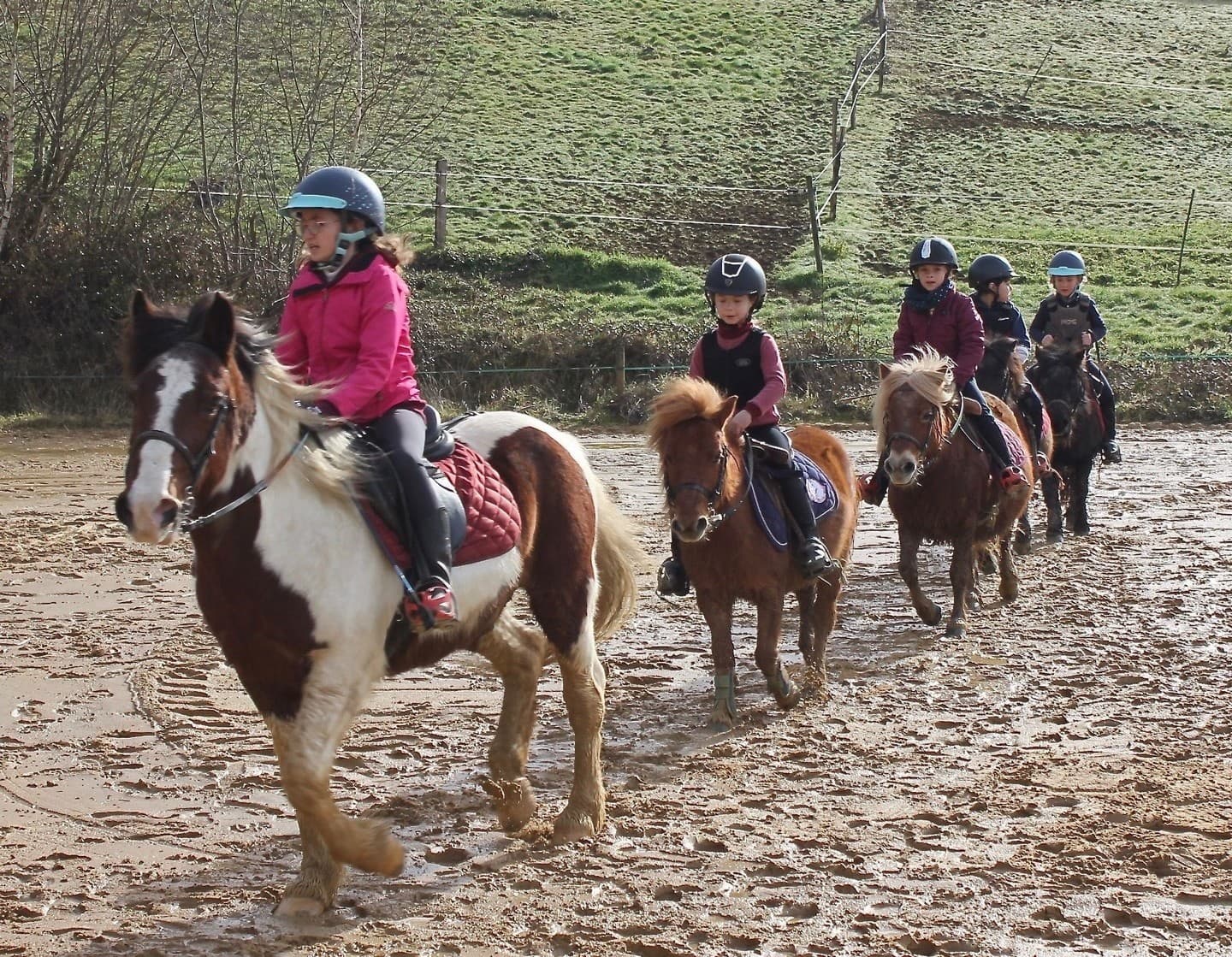 Club Hippique - Lescar - poney