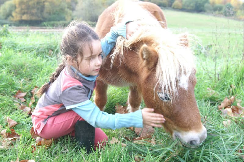 poneyclubArcenCiel6_Jacques.K