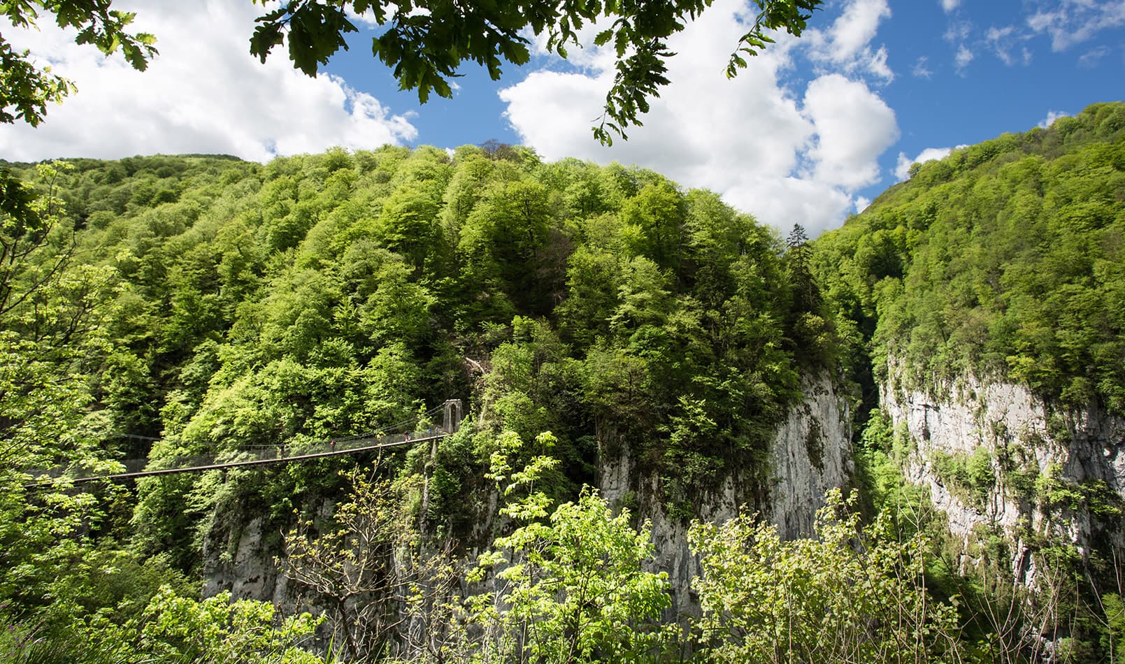 pont-holzarte-face-3