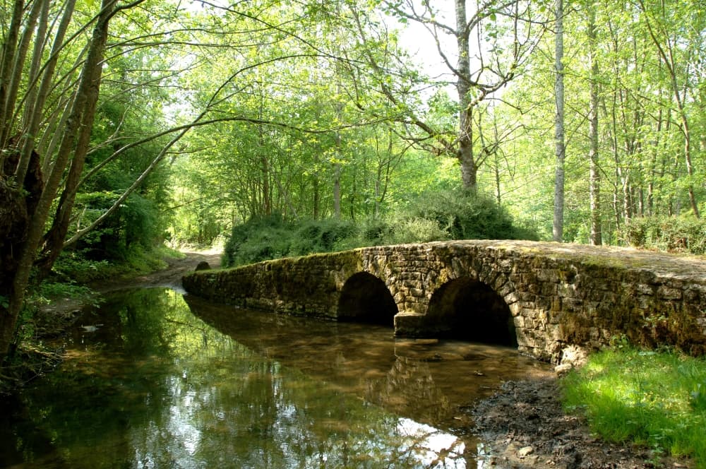 Pont de Bellevue - plan d'eau du Lambon