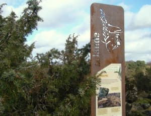 Landes des pierres du Mas