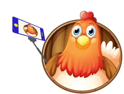poule_avec_perche