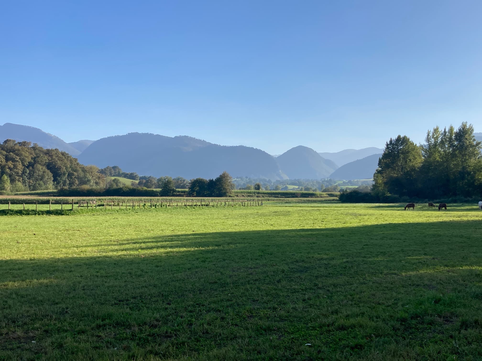 La nature d'Aramits