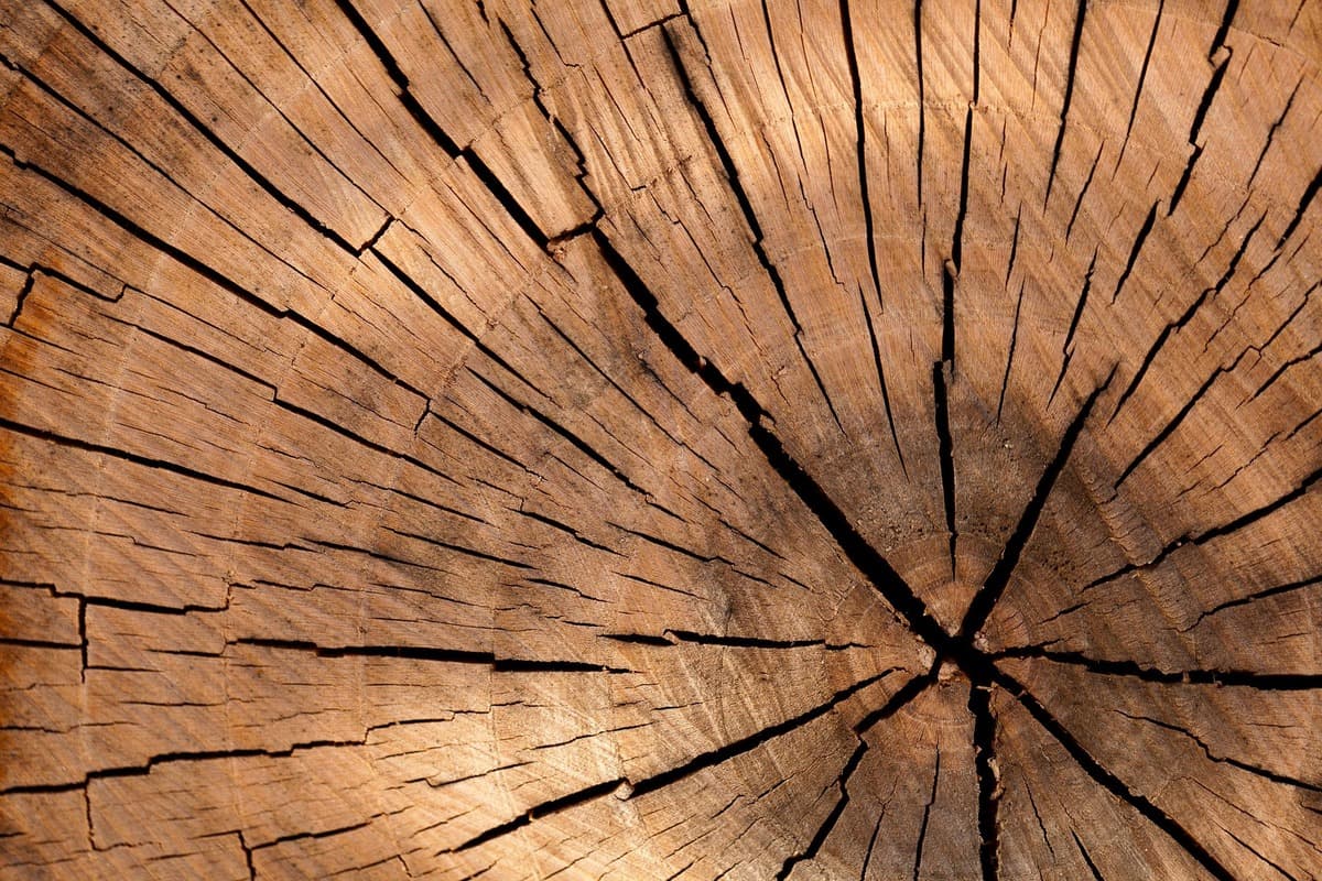 publicdomainpictures lumber 84678 1920