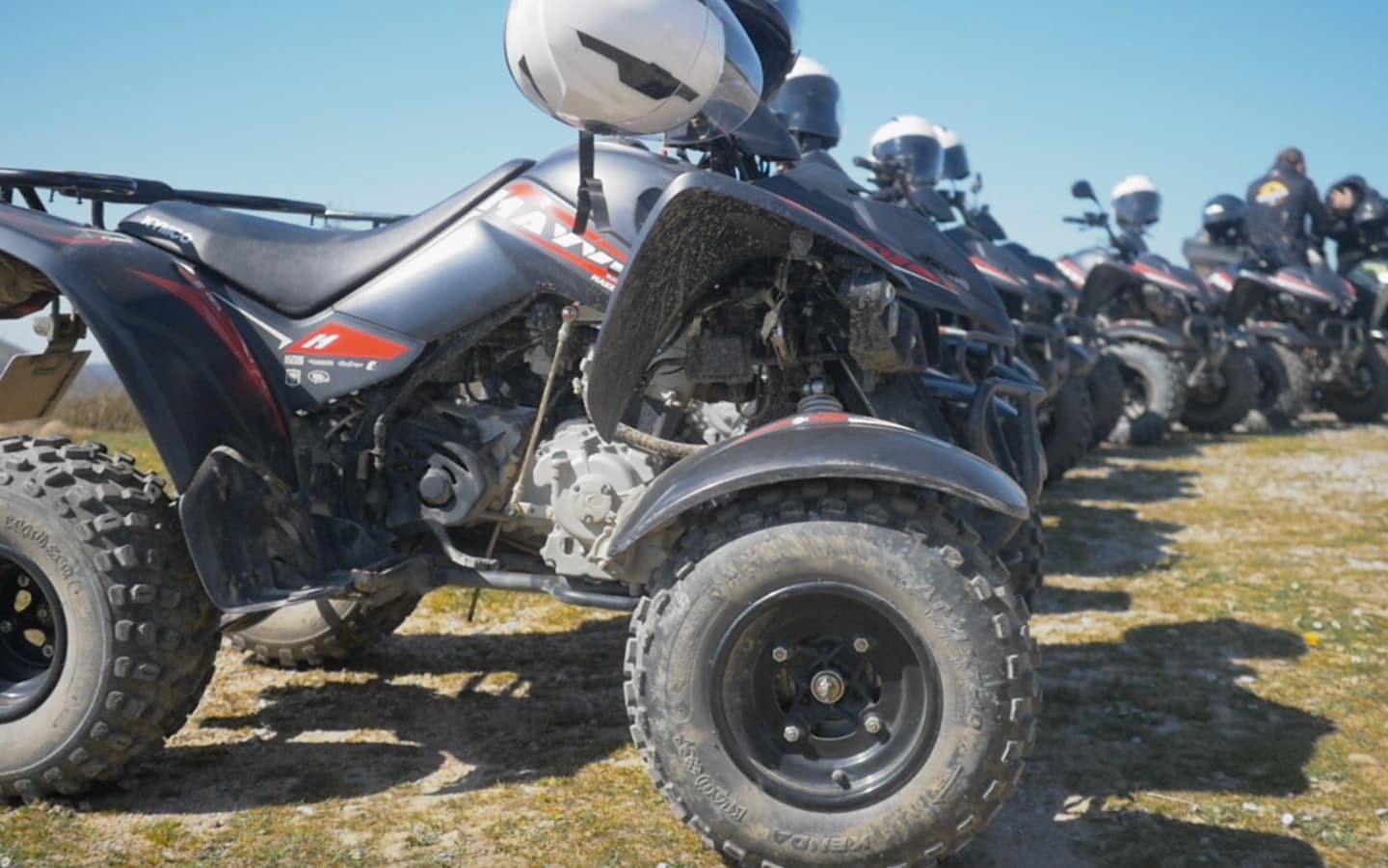 quads