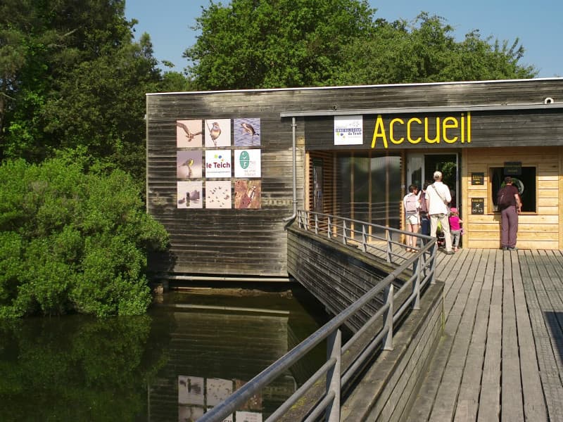 Accueil Réserve Ornithologique du Teich