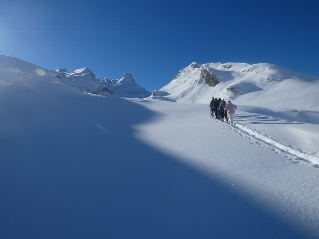 raquettes en vallée d'Ossau