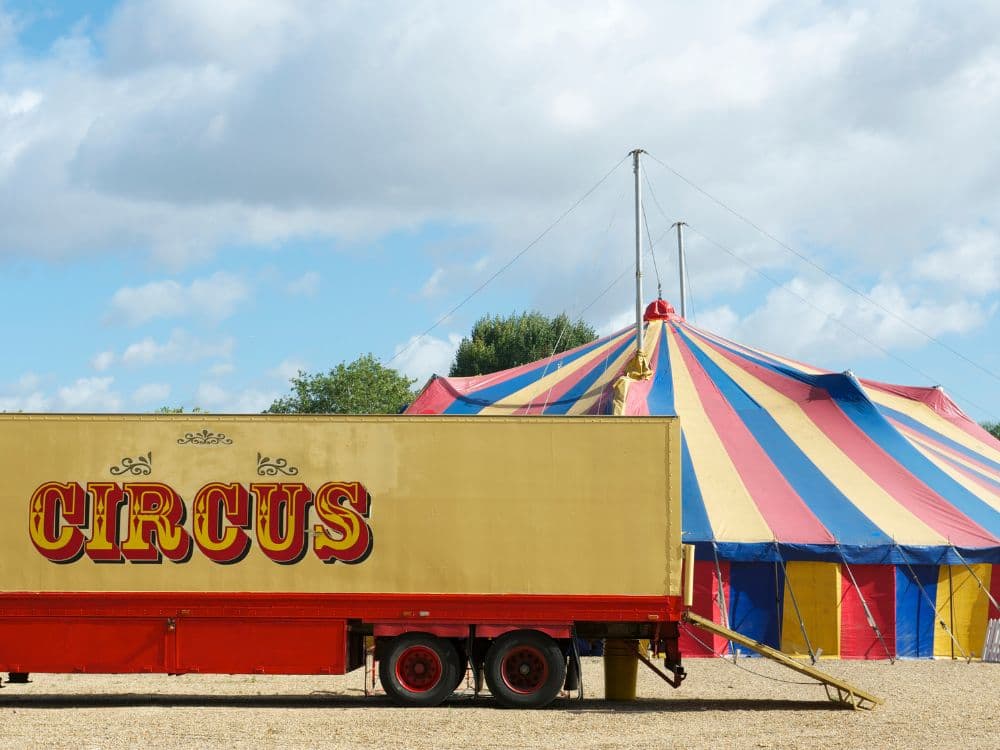 Cirque