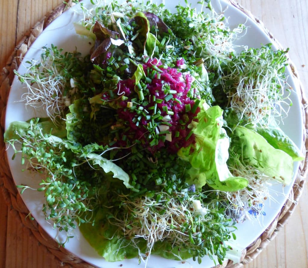 Goûtez la nature dans votre assiette