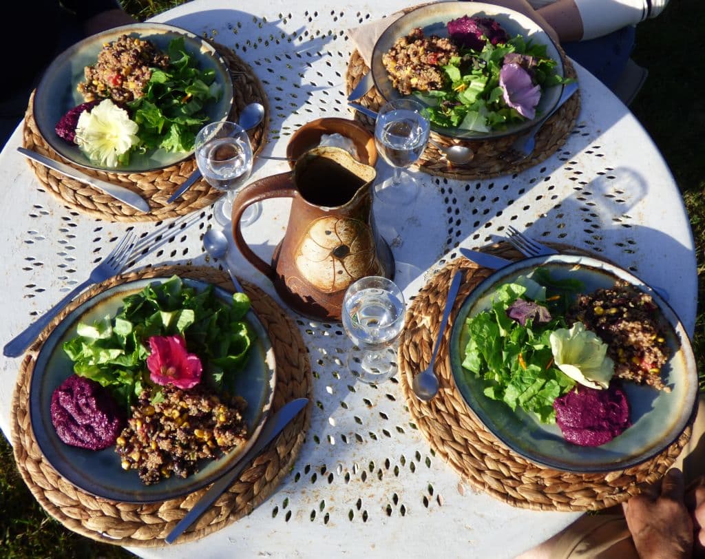 Plats bio pour un repas équilibré