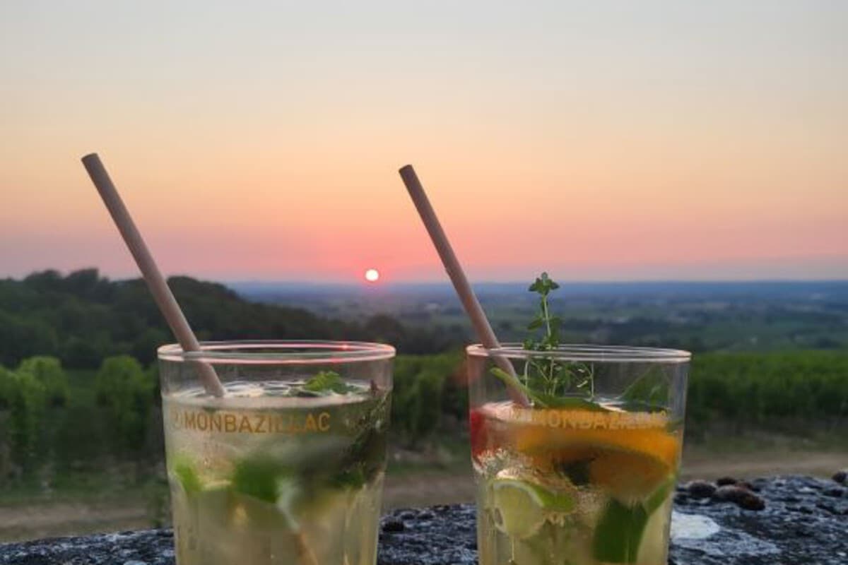 Les paradizillac