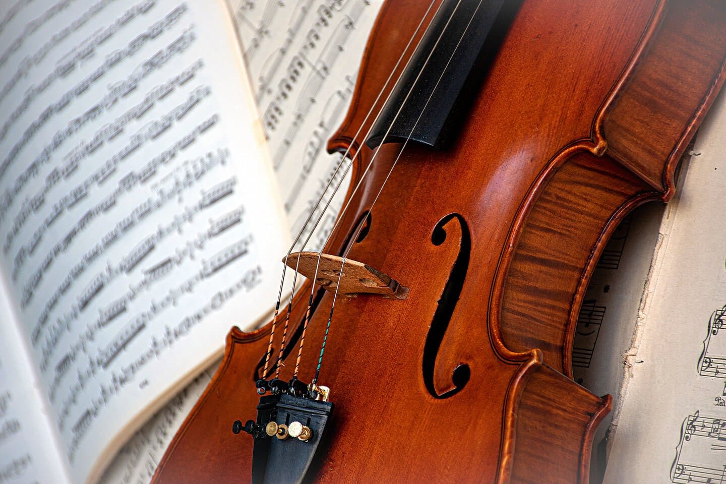 ri_ya-violin-7775182