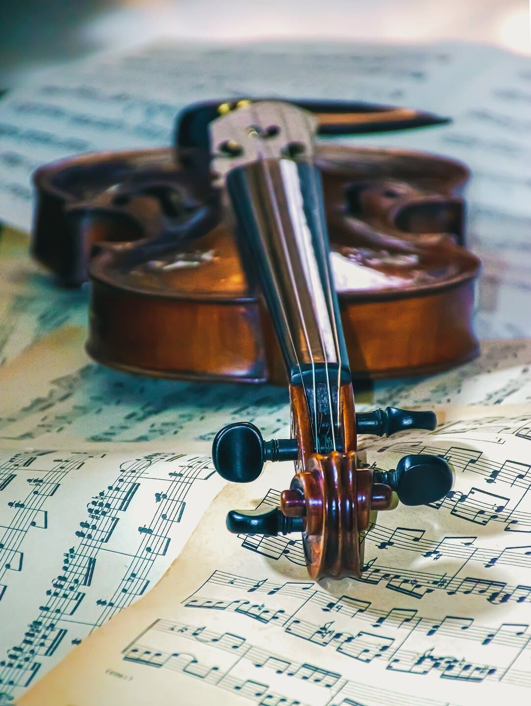 ri_ya-violin-7775184