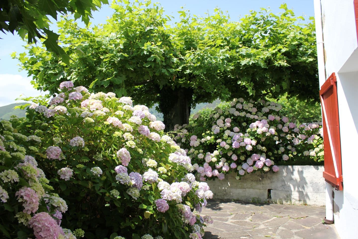 rigoux_sara_terrasse