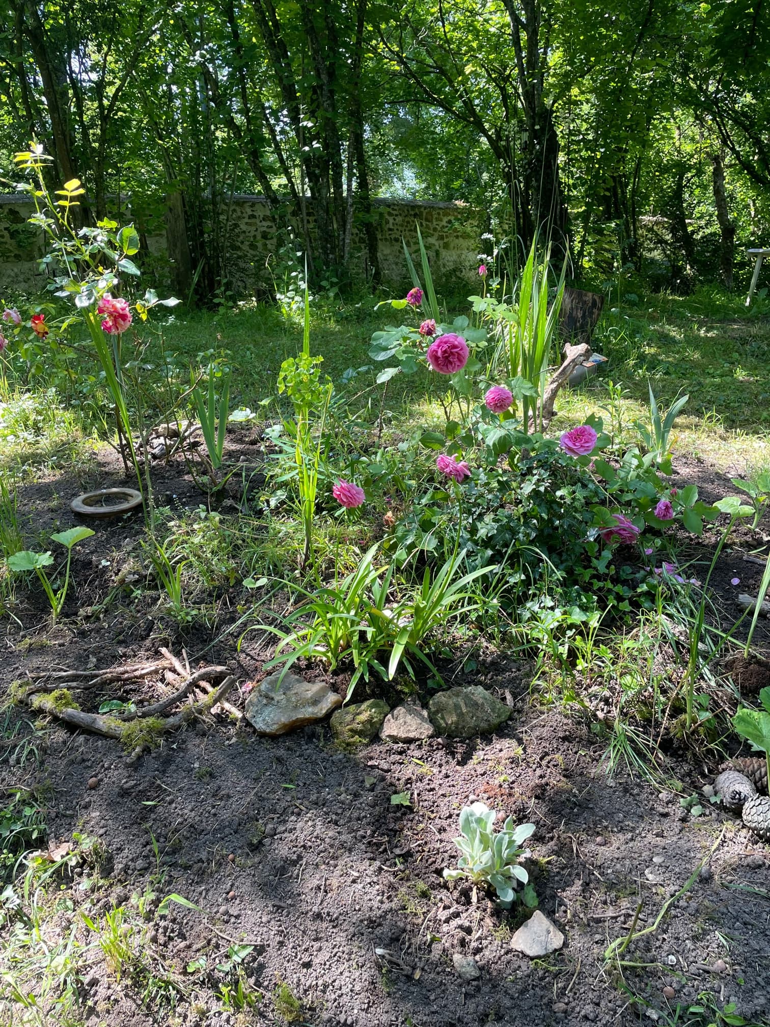 Jardin