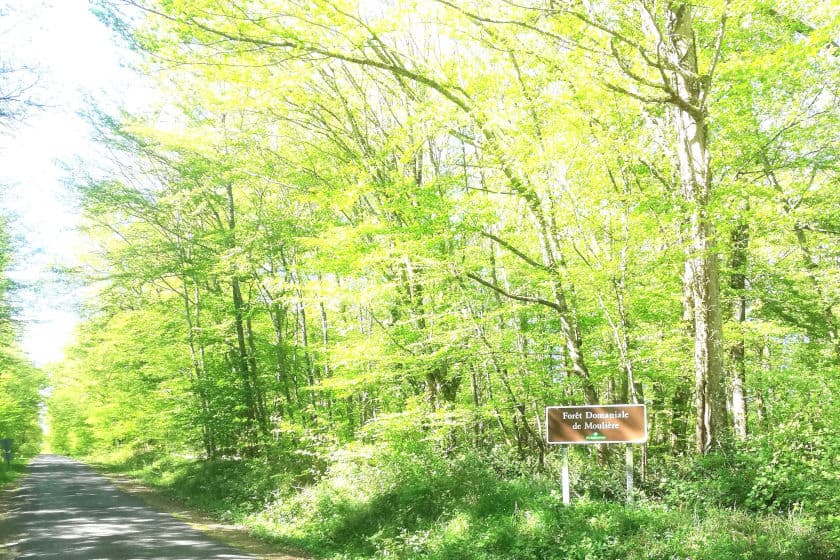 route-foret-de-mouliere