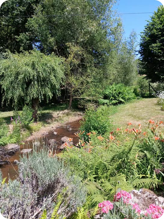 ruisseau dans jardin