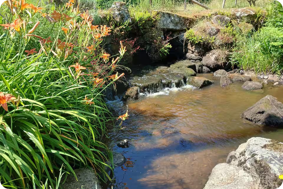 ruisseau dans jardin