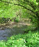 ruisseau-moulin-bertrand-fiche-curiosite