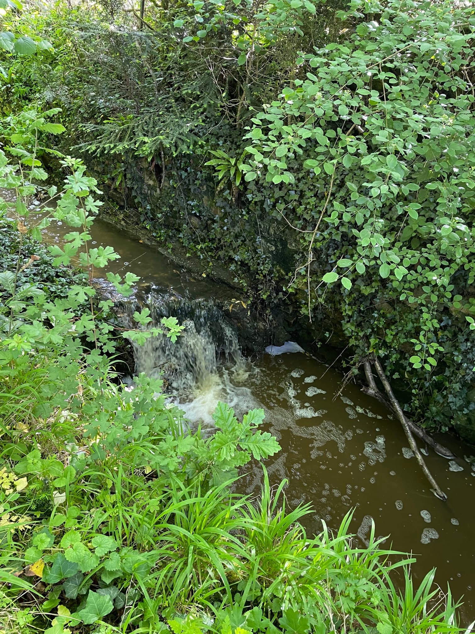 Petit ruisseau qui coule autour du jardin selon la saison