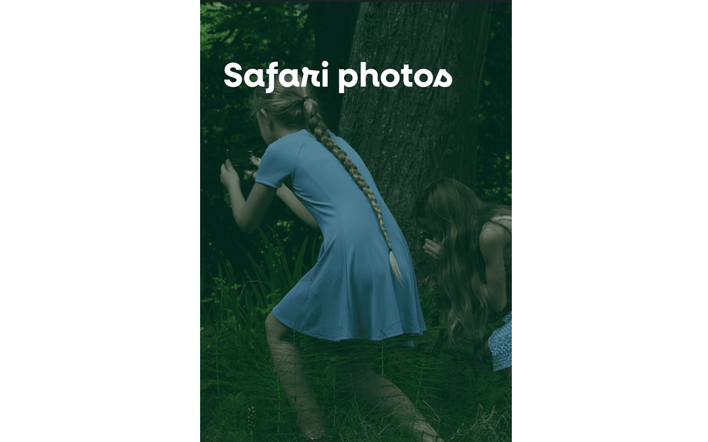 safari photo