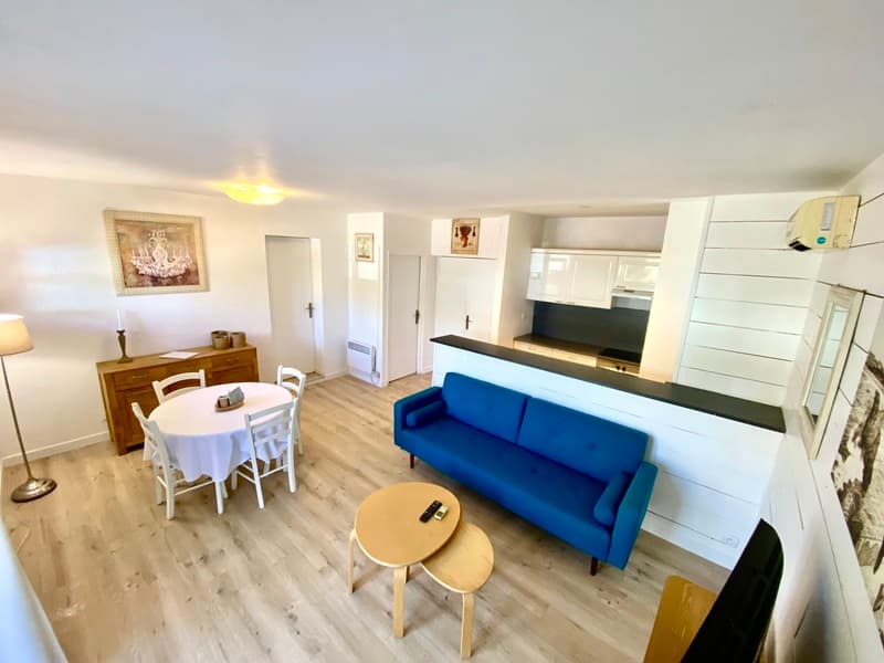salon appartement 12