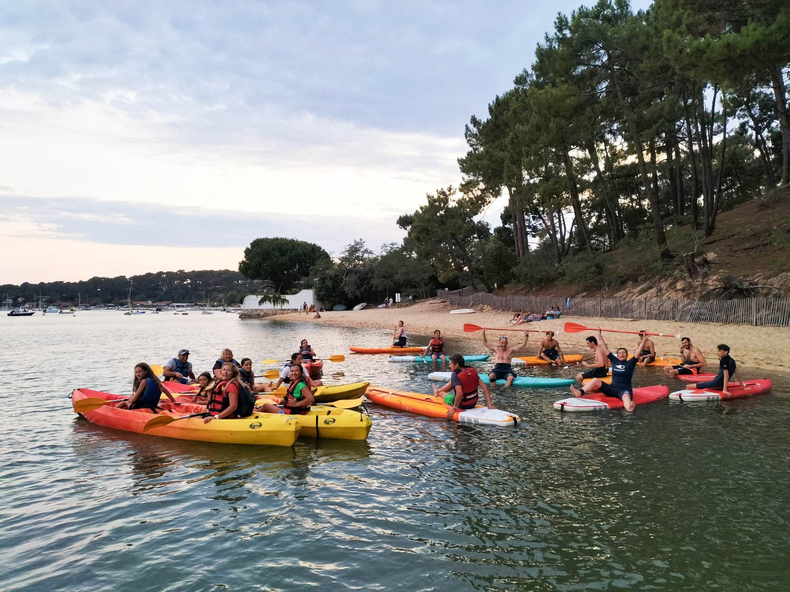 salsifipaddle-1