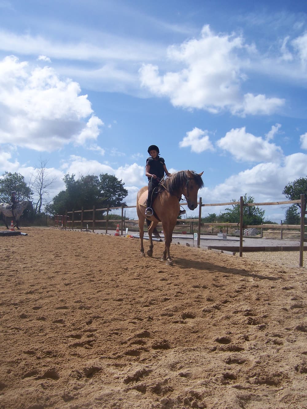 Le ranch de Sanxay_5