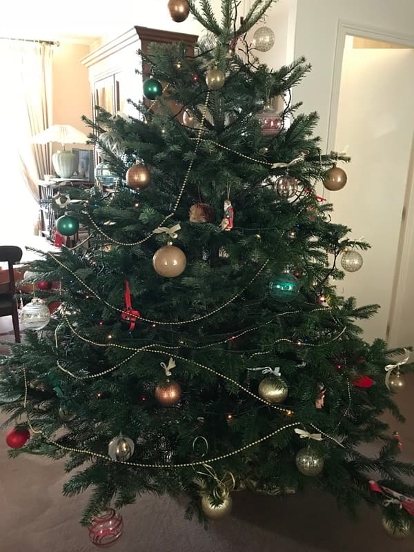 sapin