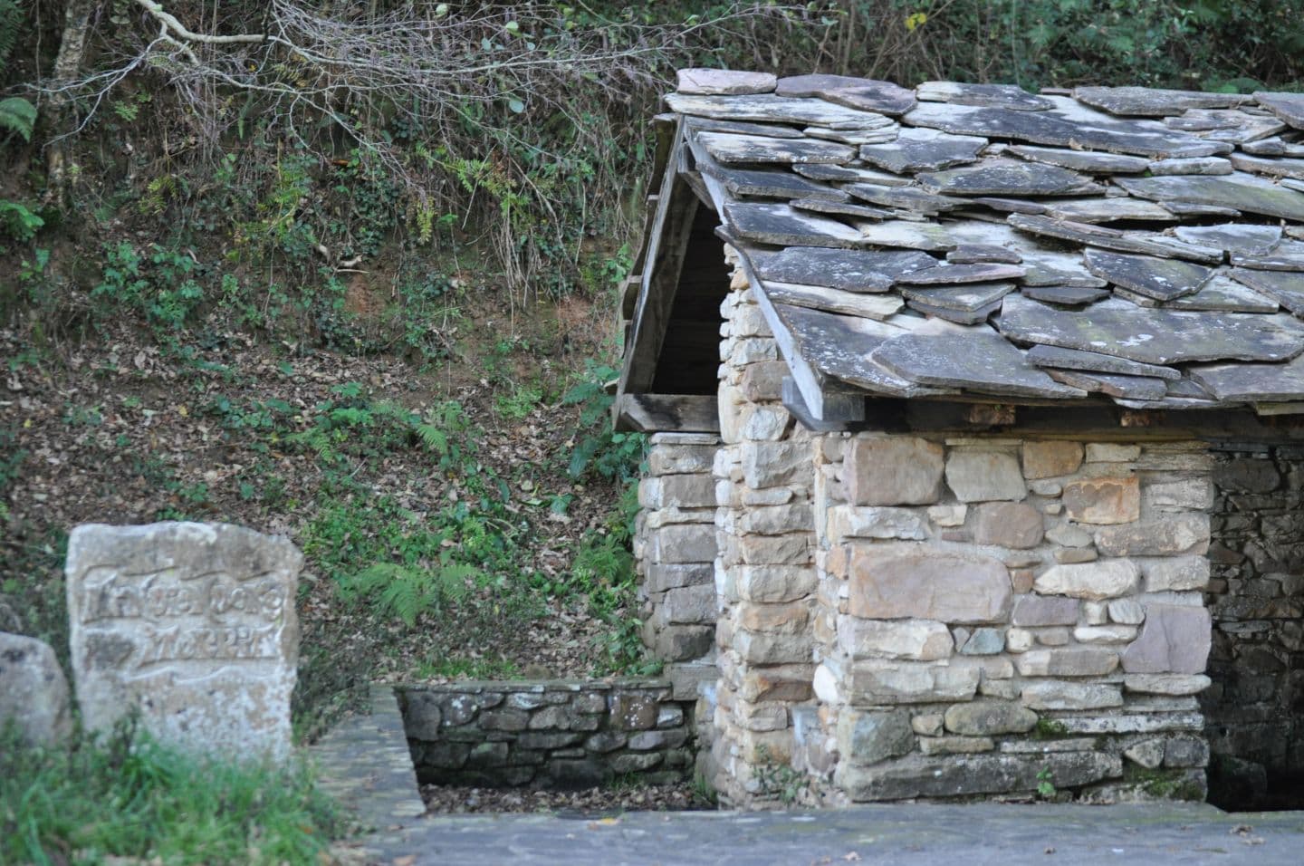 sare_lavoir_stele