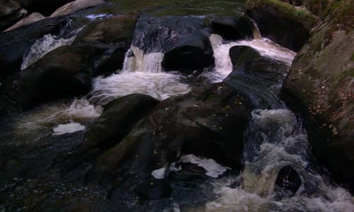 saut du Chalard5