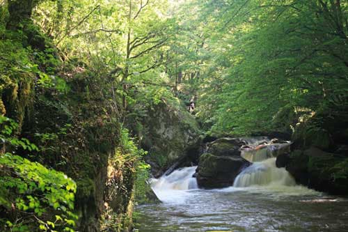 saut-du-chalard2