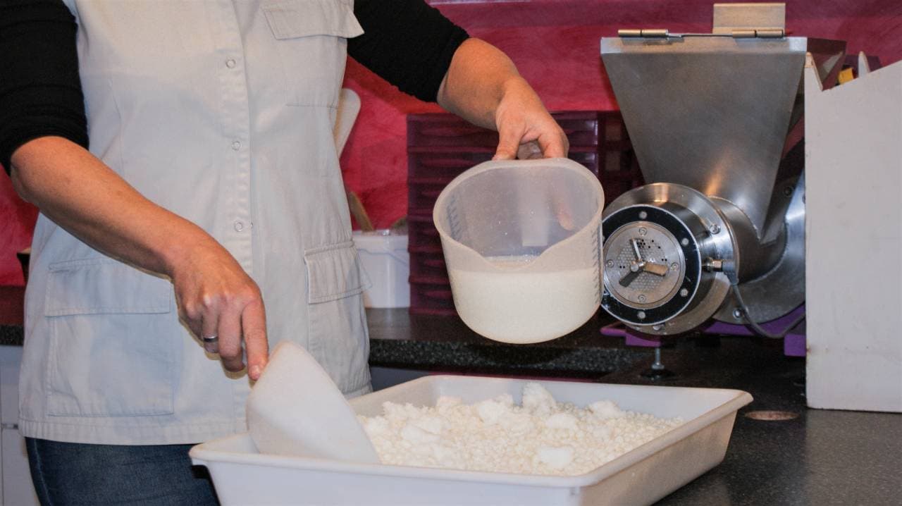 Ajout du lait frais et cru d'ânesse récolté sur place dans les savons